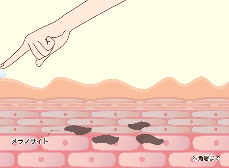 sirobari(シロバリ)の成分が肌に浸透する様子